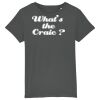 Kids Organic Cotton T Shirt Thumbnail
